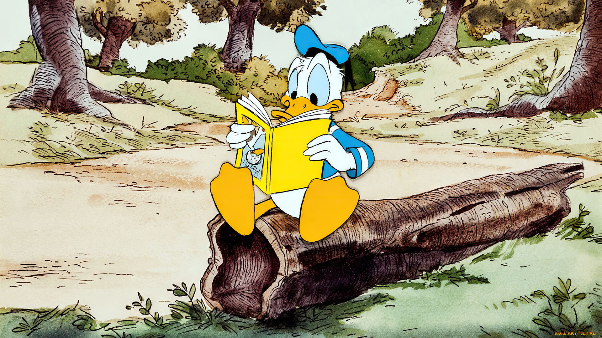 , disney, , , , , , , , , , , , , , donald, duck